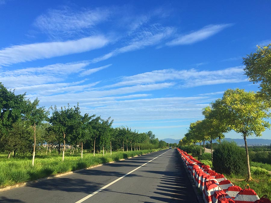 大宁水库造林养护及水环