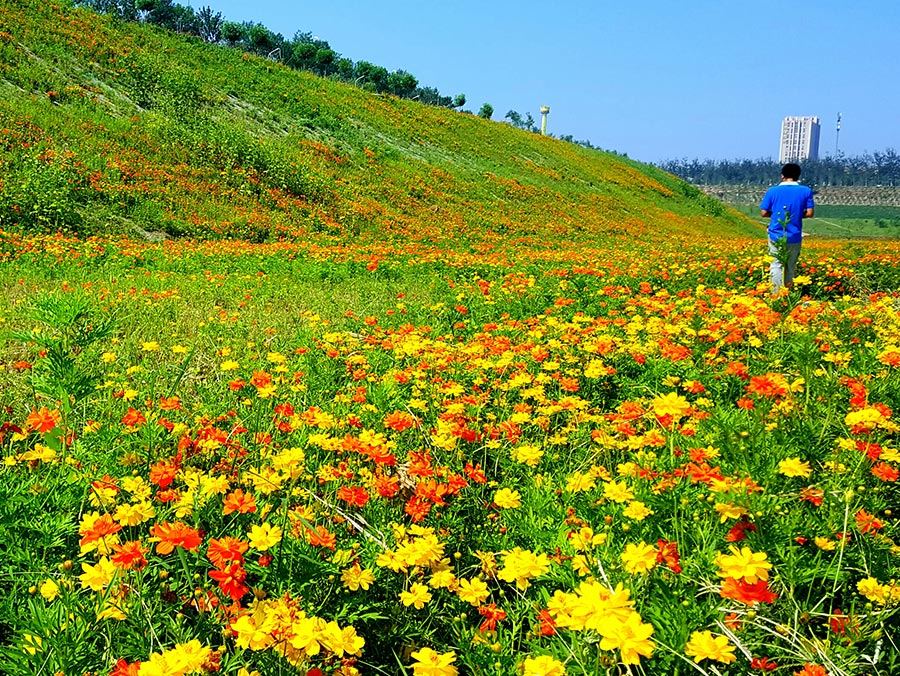 西郊砂石坑蓄洪工程
