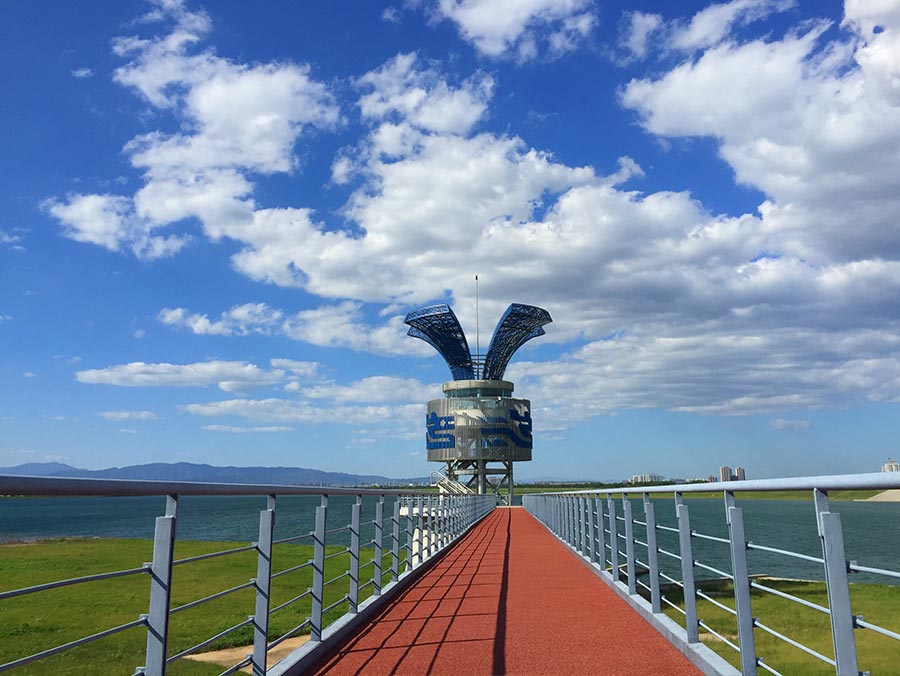 大宁水库造林养护及水环境保洁