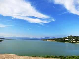 官厅水库绿化维护项目