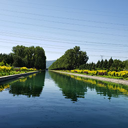 河道绿化工程
